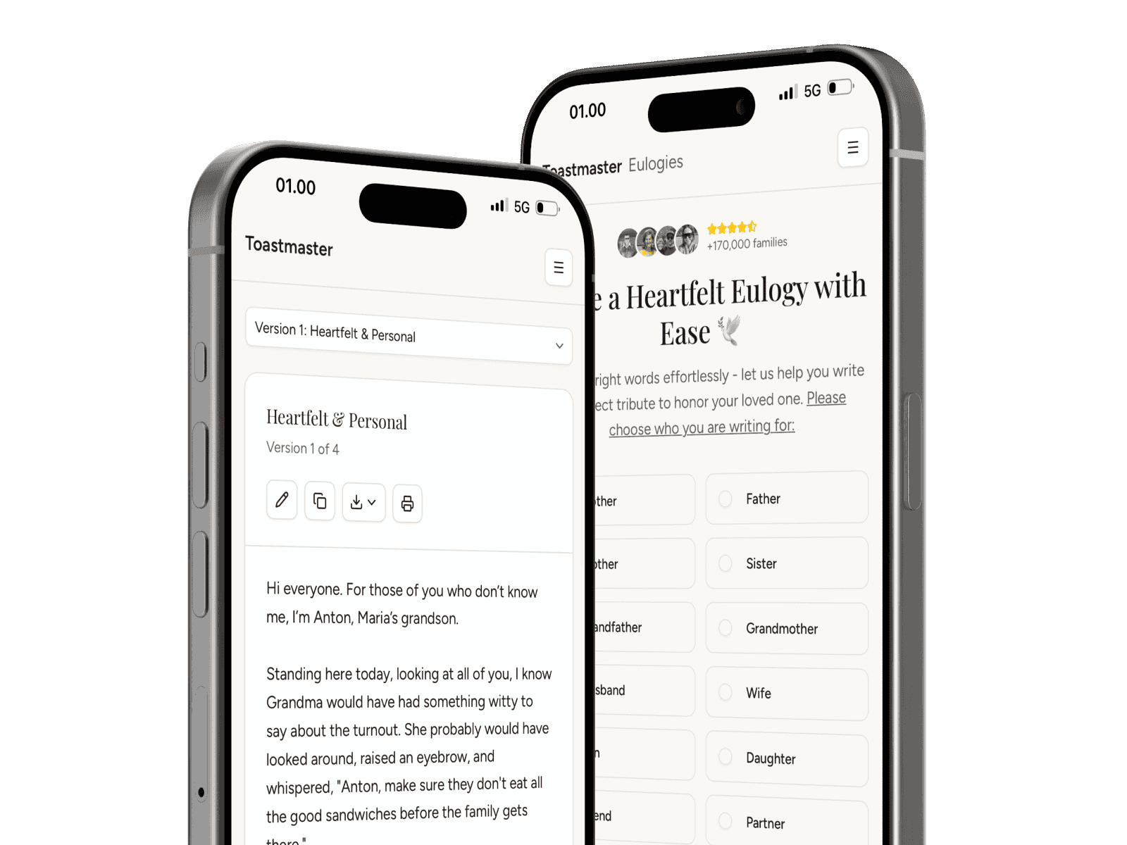 Toastmaster product preview